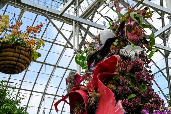 NYBG Orchid Show - Image by Diance Woodcheke / Shutterstock.com