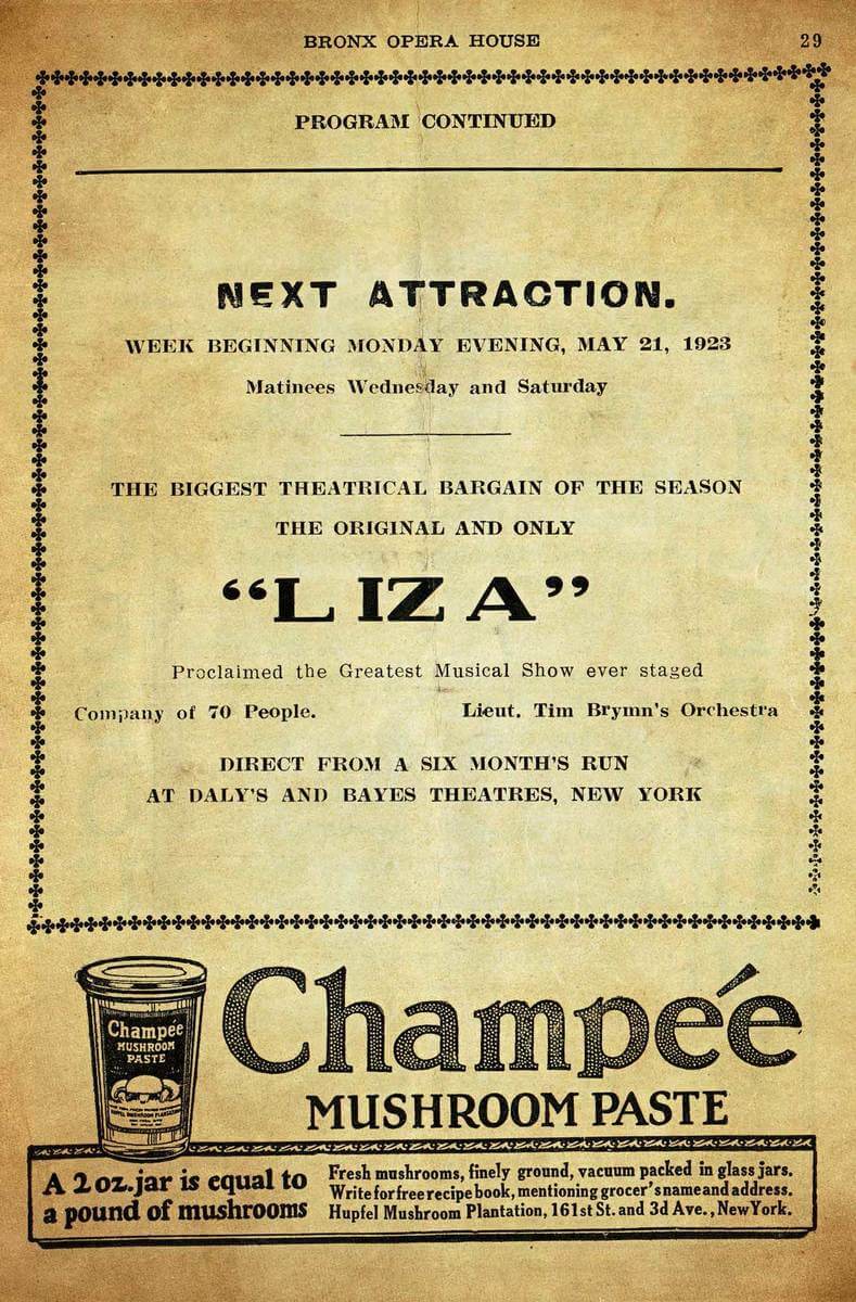 large_Poster_Liza
