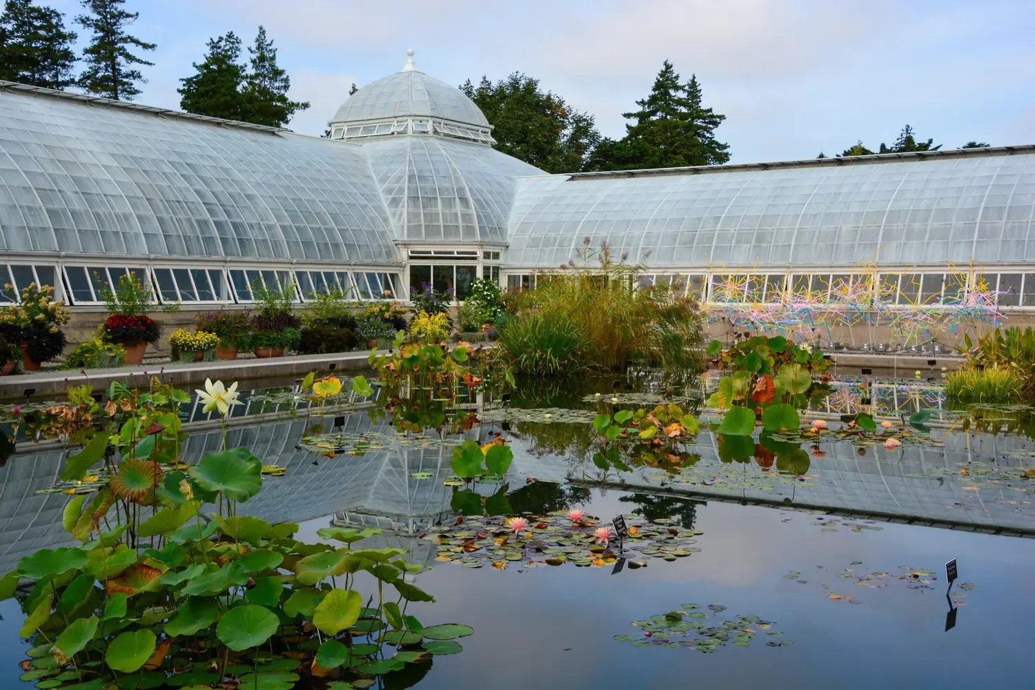 NY Botanical Garden - Image by 365 Focus Photography / Shutterstock.com