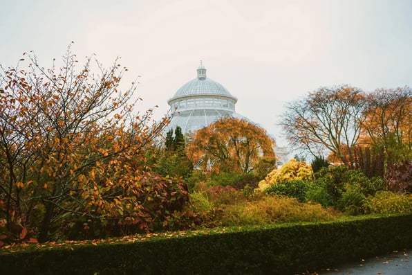 Enid A. Haupt Conservatory - Image by AnyeloBreak / Shutterstock.com