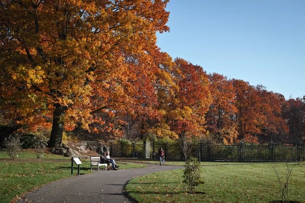  New York Botanical Garden, Bronx - Image by anaglic / Shutterstock.com
