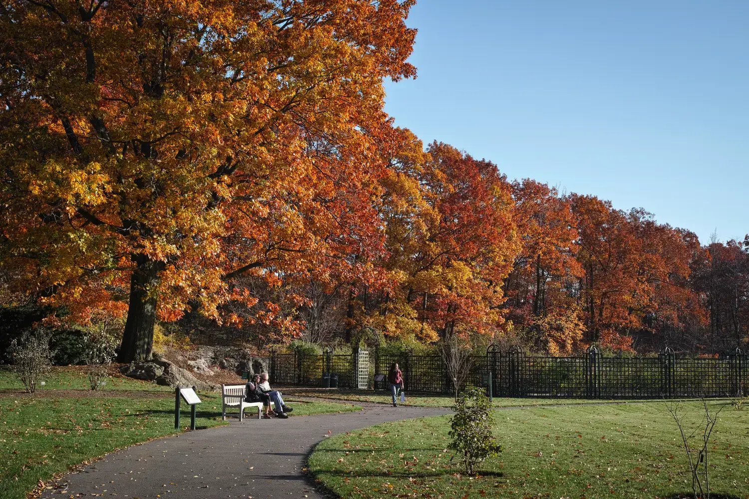NY Botanical Garden - Image by anaglic / Shutterstock.com